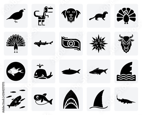 Bild auf Leinwand Wild, Domestic, And Ancient Animals – Golden Retrievers, Peafowl, And Extinct Re