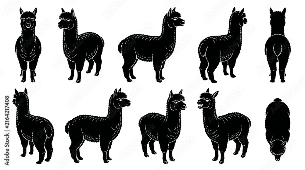 Naklejka premium Alpaca black silhouette bundle showing front, three-quarter, side, rear and top-down views isolated