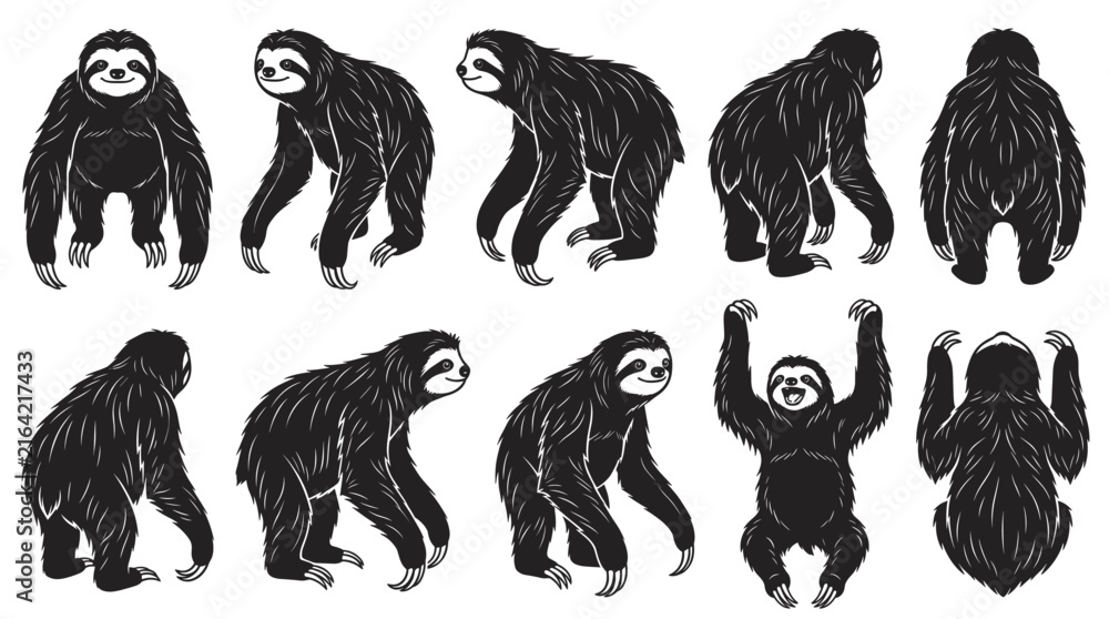 Naklejka premium Sloth black silhouette bundle showing front, three-quarter, side, rear and top-down views isolated 
