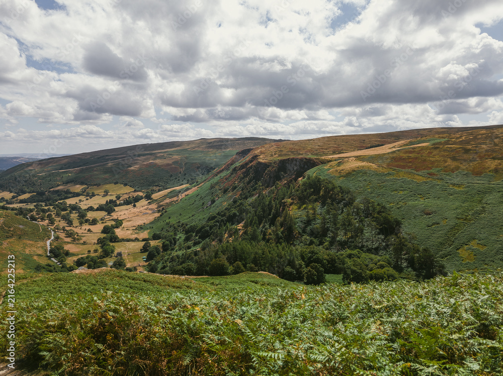 Naklejka premium Cadair Berwyn Mountain Summit with Autumn Meadows
