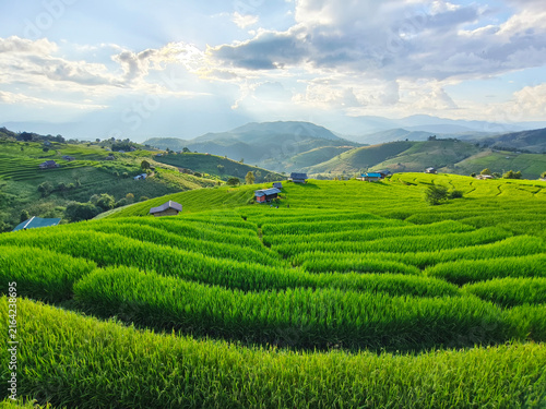 Landscape of northern mountainous and terraced rice fields