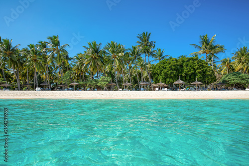 Tropical Beach with Turquoise Lagoon and Palm Trees in Mauritius