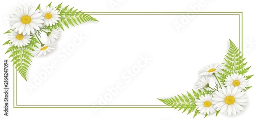 Double line rectangular frame with white daisy flowers and green leaves