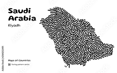 Saudi Arabia Riyadh Turing Pattern Vector Map