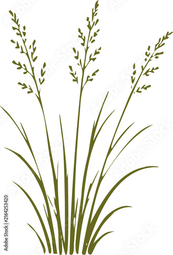 Marshland botanical silhouettes with tall aquatic stems and wild wetland vegetation.