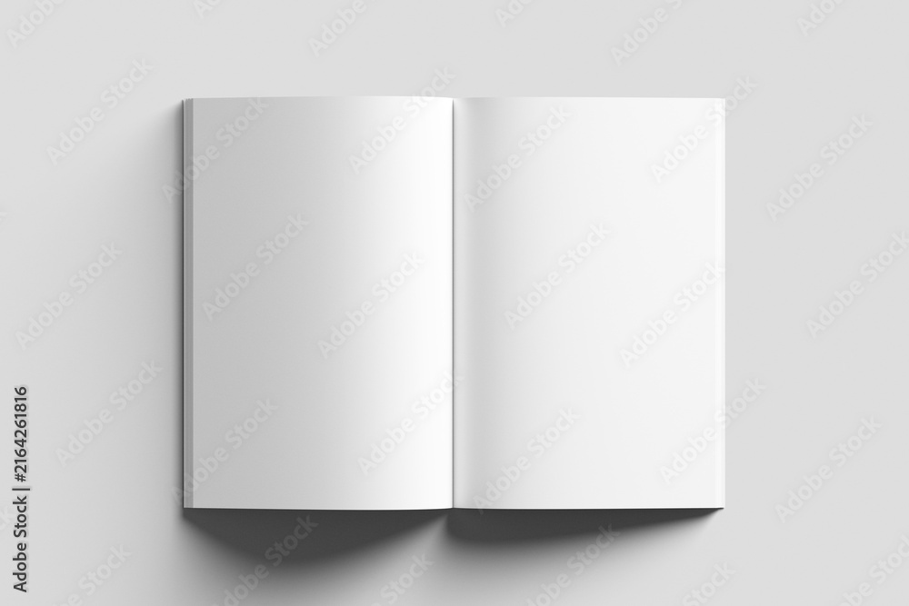 Fototapeta premium Tabloid 11x17 Inch White Blank 3D Rendering Magazine Mockup