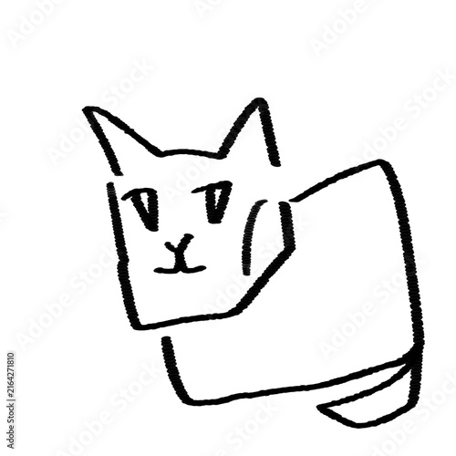 Konstfotografi Sigma box cat