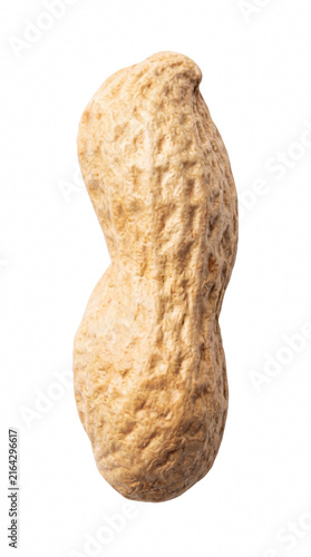 Foto Single Whole Peanut in Shell
