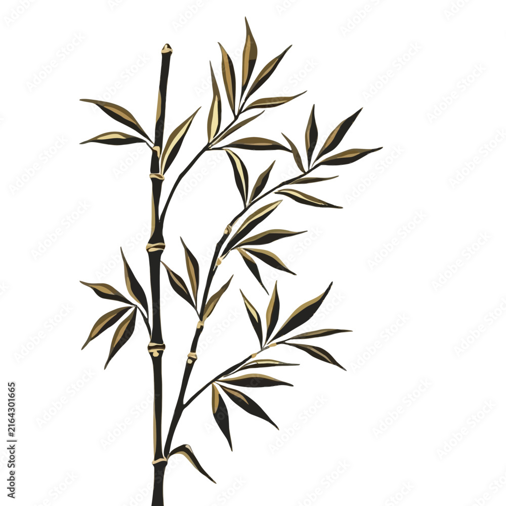 Fototapeta premium Elegant bamboo stalks with slender leaves against white background.