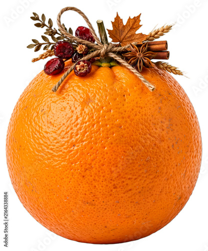 Orange Fruit With Autumn Spice Garland Isolated on Transparent Background