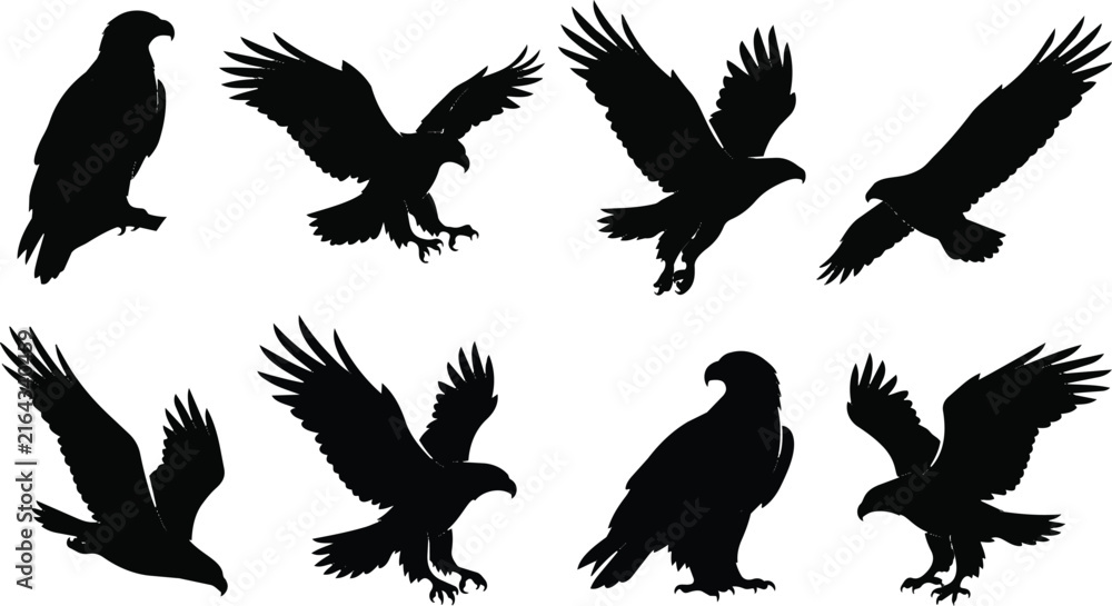 Naklejka premium Bald Eagle Silhouette Collection with Flying and Standing Bird Poses on White Background