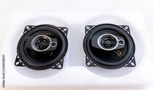 Cuadro en lienzo Pair of New Car Speakers in Protective Foam Packaging