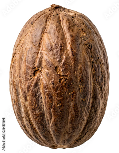 Whole Walnut In Shell Isolated on Transparent Background