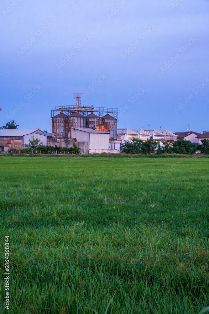 Fototapeta premium Industrial agricultural silos and green rice field in Lomellina at twilight