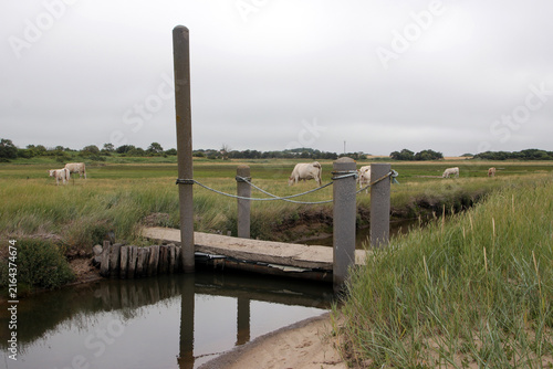steinbrücke an der kuhweide