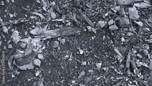 Foto Black and white close-up of forest soil covered with wood fragments, dry leaves, twigs, small stones, and decomposing organic material