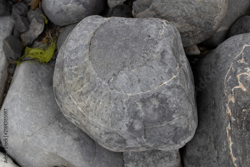 Fotografía Large Boulder with a Fossilized Ammonite Imprint