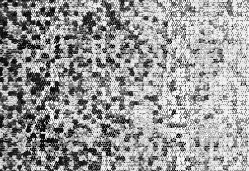 Fotografía Abstract grunge halftone and digital disintegration vector pattern background for modern graphic design and web overlay