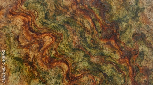 Detailed natural abstract texture with green and orange swirls