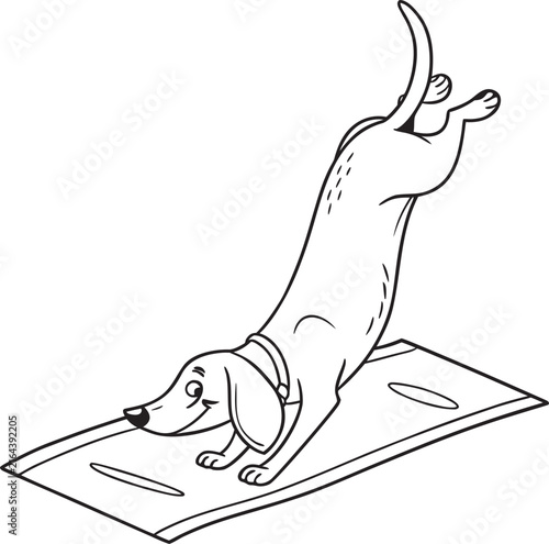 Hand Drawn Dachshund Doing Yoga Stretch - Funny Wellness Cartoon Illustration for Fitness, Meditation and Health Design