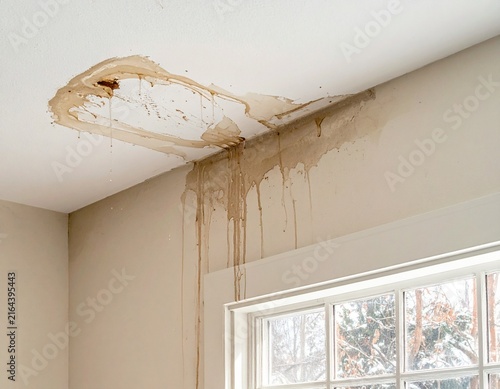 Interior Ceiling Damage with Icicles and Water Leakage in Winter