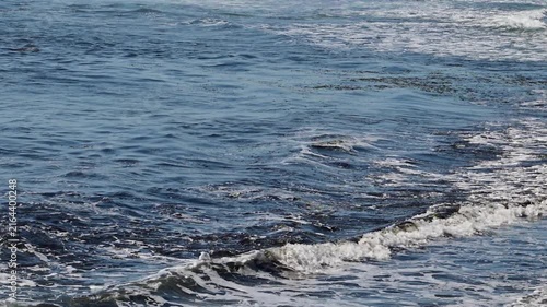 A close-up view of deep blue ocean waves swelling, cresting, and crashing into turbulent white foam, with scattered seaweed visible within the moving water.