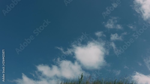 Grass swaying in the wind against a blue sky with drifting clouds
