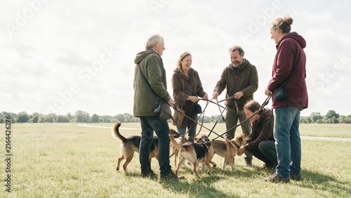 Dog walking group meeting on a wide meadow with their dogs on a bright day