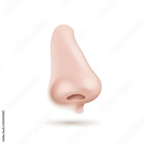 3D realistic human nose icon isolated on white background for medical or beauty design