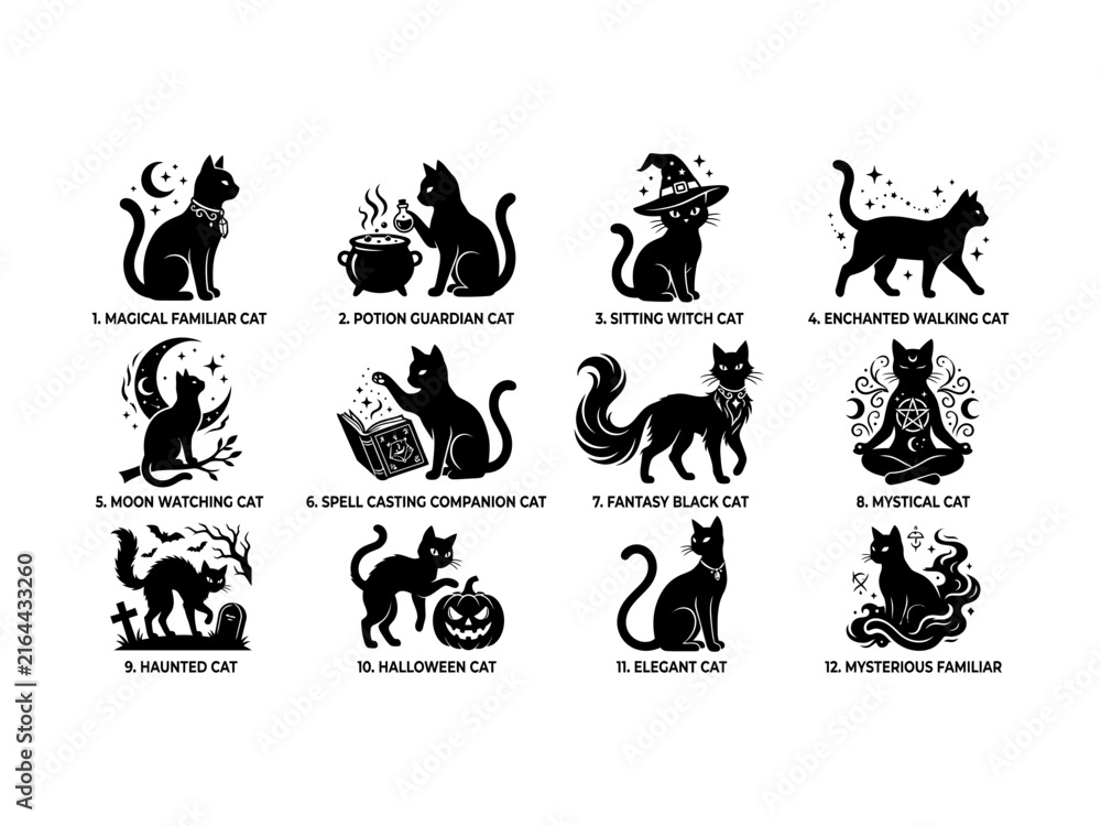 Fototapeta premium Set of twelve black cat silhouettes for halloween projects in various mystical poses.