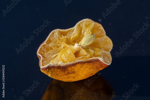 Wrinkled half of dried citrus fruit with exposed seed on dark background