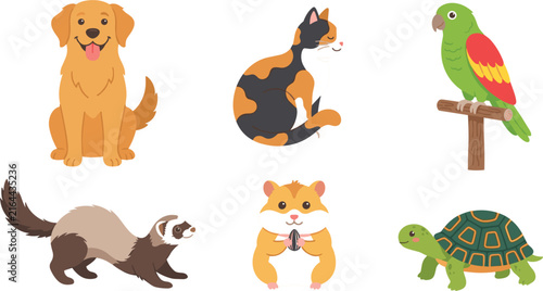 Collection of cute cartoon domestic pets including a dog cat parrot ferret hamster and a green turtle