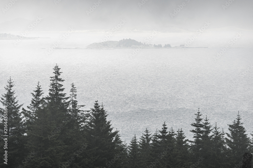 Fototapeta premium Misty forest in Norway with sea fog covering the landscape and distant islands