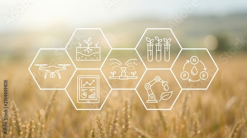 Hexagonal icons representing various industries over a wheat field.