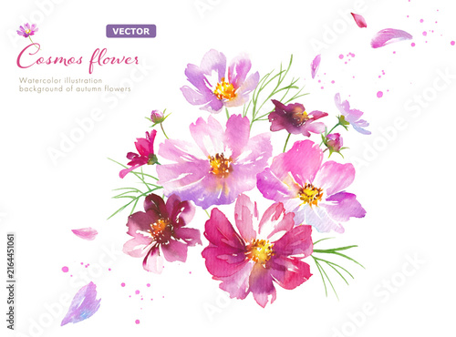 秋の花：花びらが舞うコスモスとアレンジメントの水彩イラスト　クリップアート（ベクター。パーツのレイアウト変更可能）
