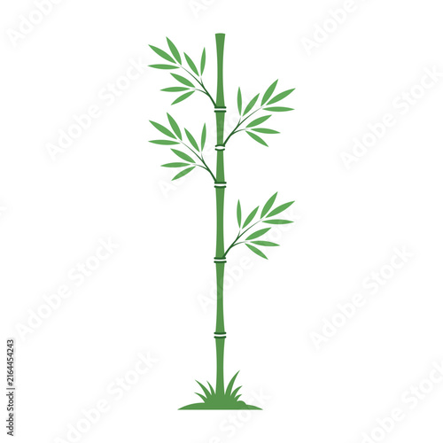 Bamboo icon showing a slender green plant with leaves on white background
