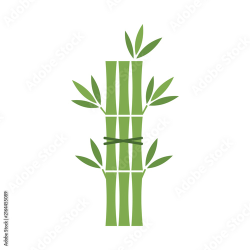Bamboo set icon depicting green stalks tied together on white background