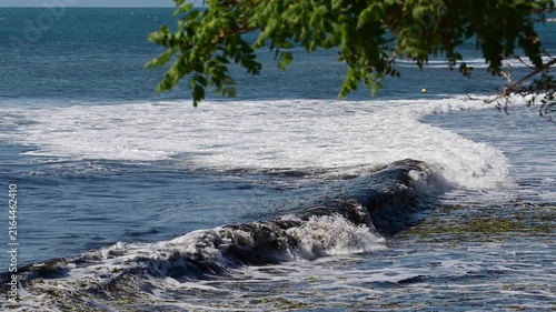 A scenic coastal view of ocean waves swelling and crashing into thick white foam along a seaweed-strewn shore, framed by green tree leaves in the foreground under bright summer sunlight.