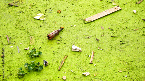 Canvastavla Plastic waste and debris floating on algae covered freshwater surface, represent