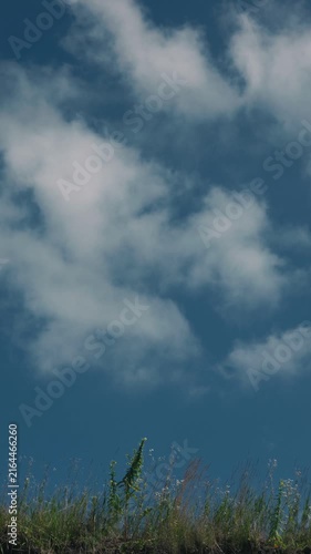 Grass swaying in the wind against a blue sky with drifting clouds
