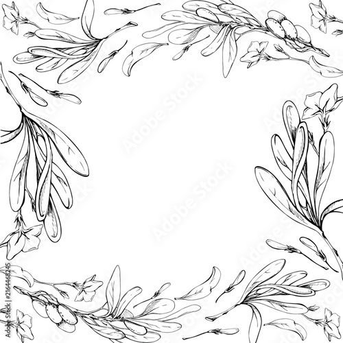 Olive branch frame of leaves and fruit, elegant botanical border. Hand drawn illustration in graphite pencil. Certificates, wedding invitations, bookplates, luxury branding, editorial page decoration.