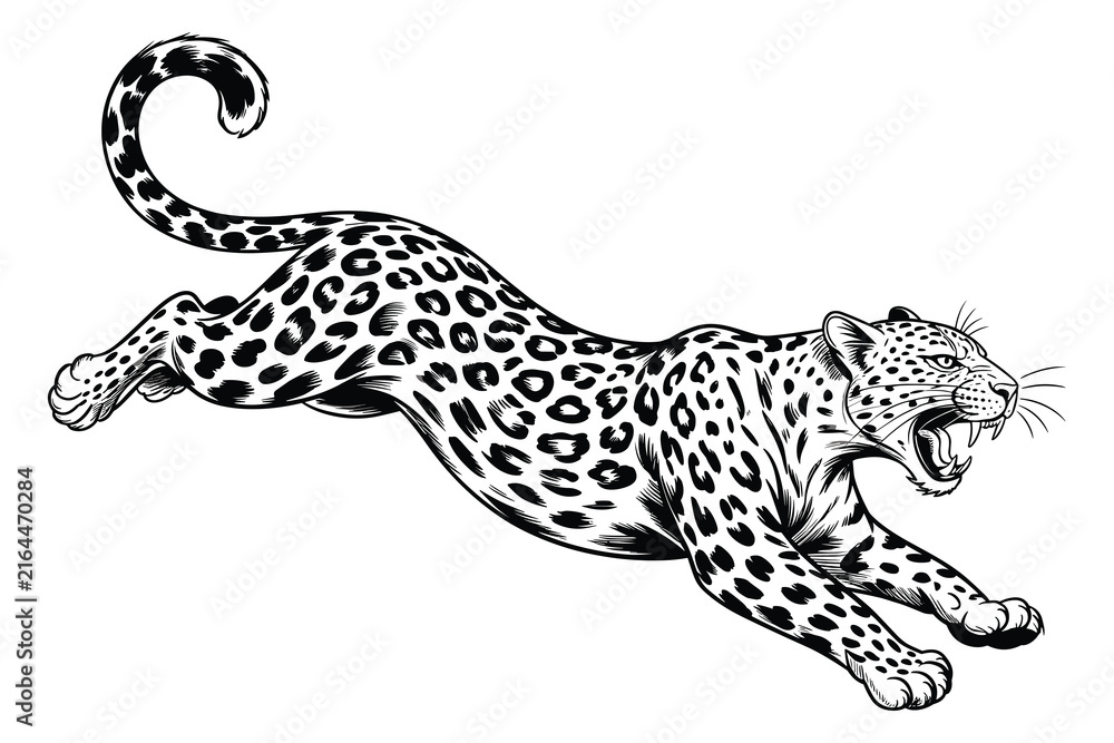 Naklejka premium Leaping panther with spotted coat is a black silhouette