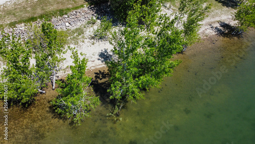 Foto Aerial view of cottonwood trees extending into the shallow water along the rocky shoreline of Ackley Lake State Park in central Montana