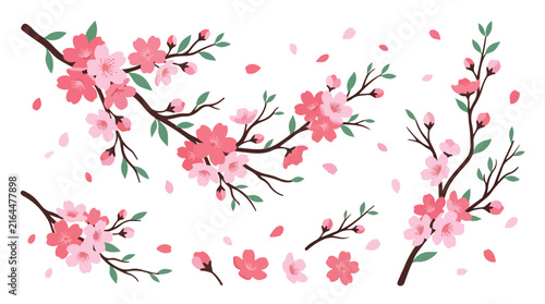 Cherry blossom branch vector set with pink spring flowers and falling petals isolated