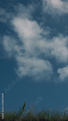 Grass swaying in the wind against a blue sky with drifting clouds
