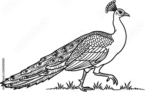 Art Peacock