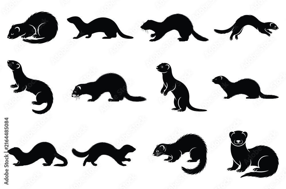 Fototapeta premium Ferret mammal silhouette vector collection isolated on white background