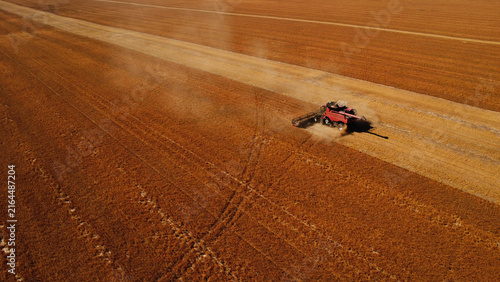 Photography Aerial Top-Down View of Combine Harvester Cutting Golden Field
