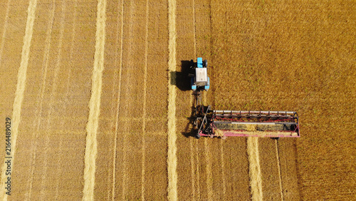 Obraz na plátne Aerial Top-Down View of Tractor with Swather Cutting Golden Crop Field