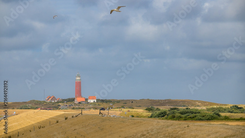Bild auf Leinwand Lighthouse Texel, the Netherlands.